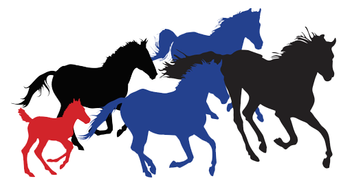 Friends of a Legacy-The Mccullough Peaks Mustangs logo