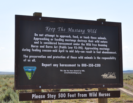 Volunteer to refurbish informational signs within the McCullough Peaks Herd Management Area.