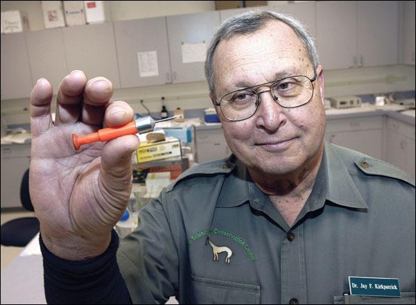 David Grubbs Billings Gazette - Jay Kirkpatrick of ZooMontana holds a dart that is used to administer contraceptives to deer.