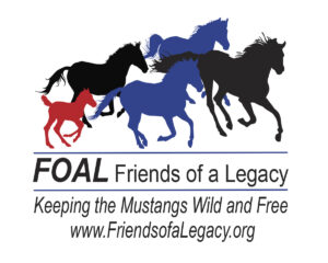 Logo_Color