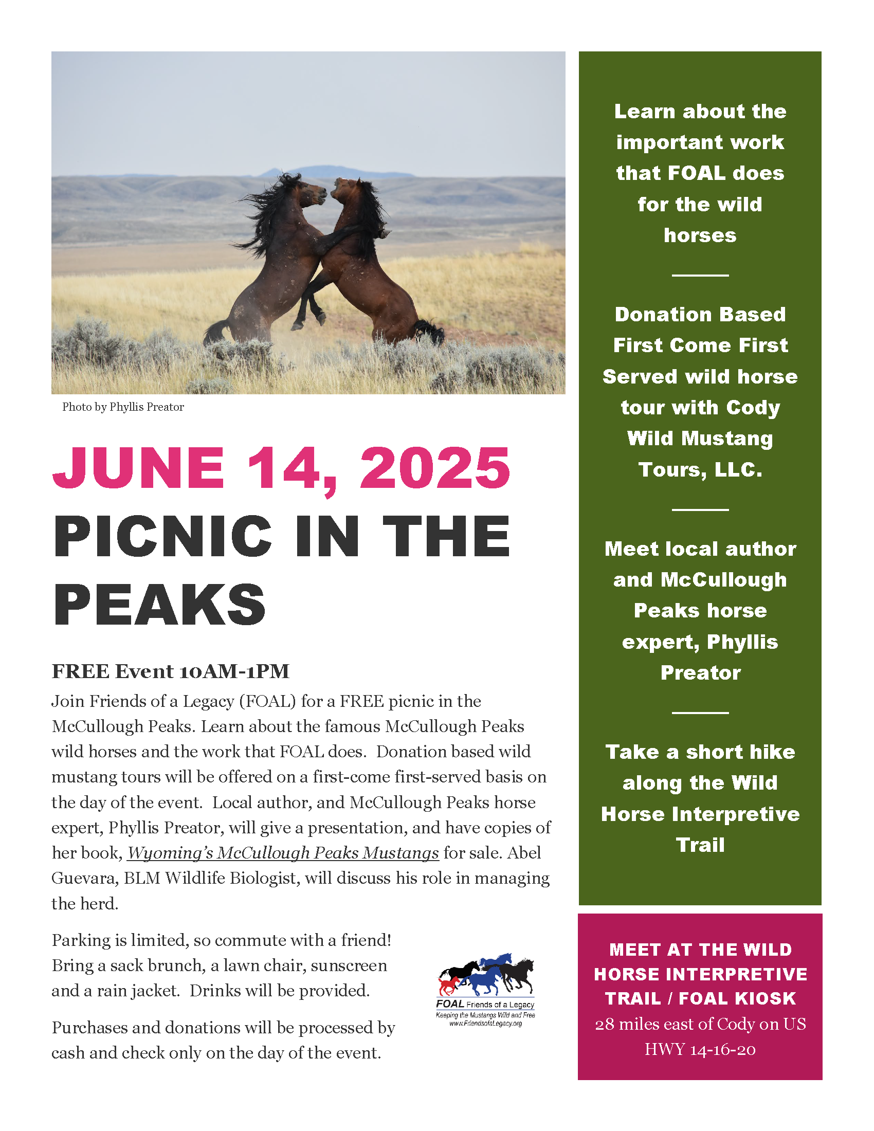 PicnicInthePeaks_June2025_EventFlyer