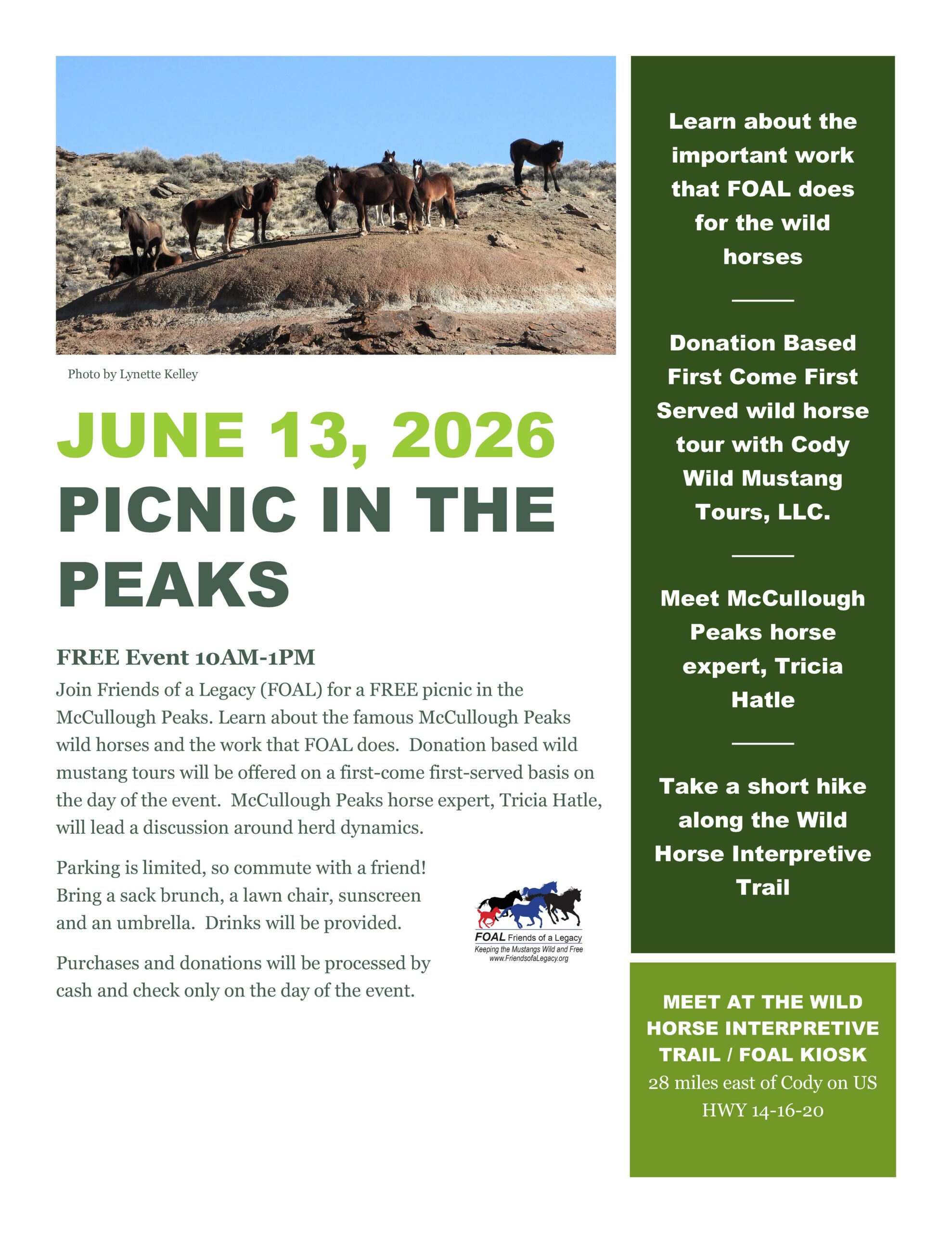 2026_PicnicInthePeaks jpg
